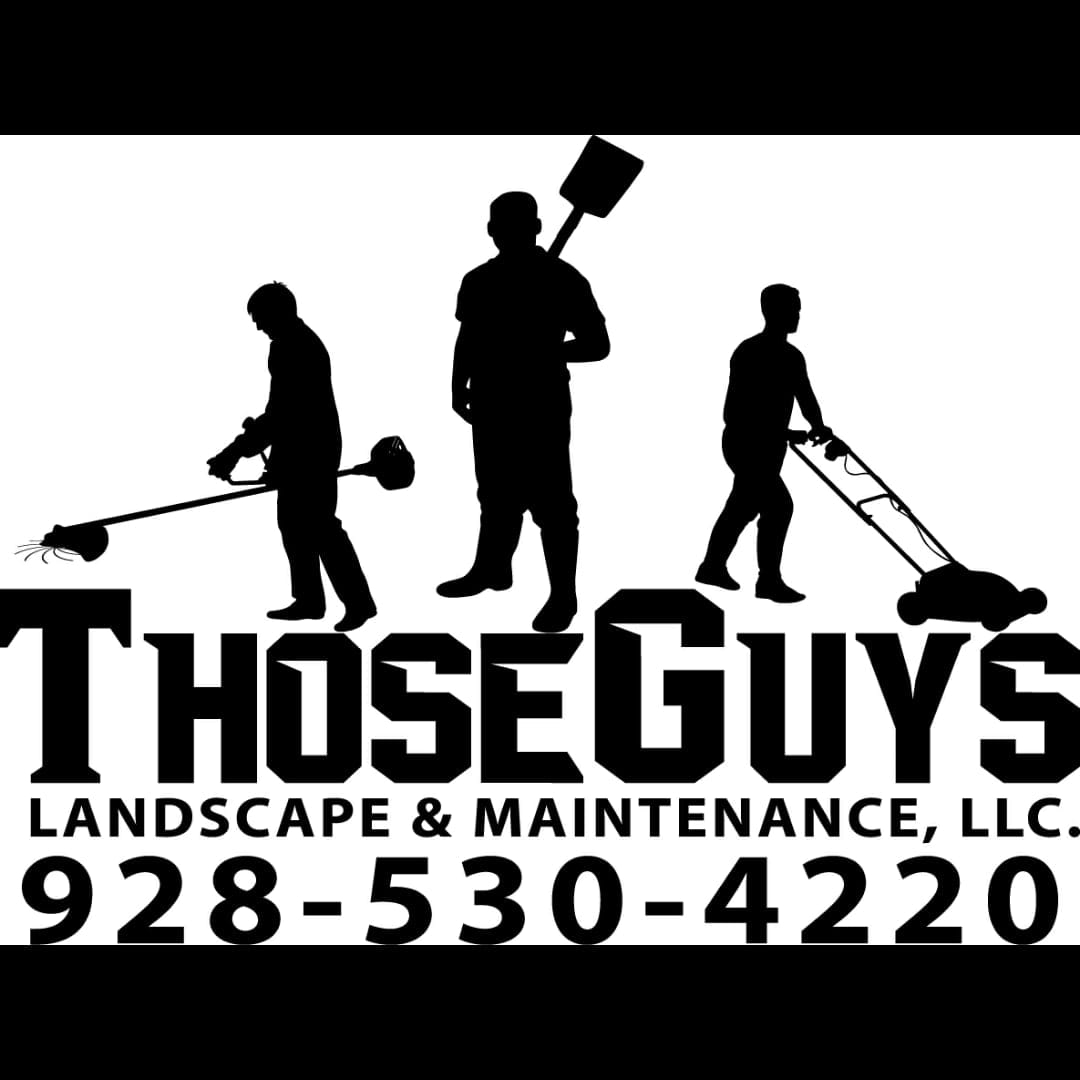 Those Guys Landscape & Maintenance LLC Kingman, AZ Mohave Local