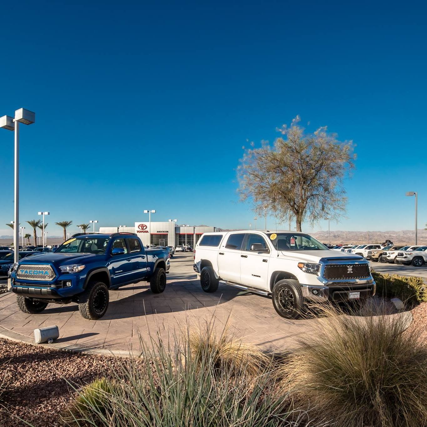 Anderson Toyota Lake Havasu City, AZ Mohave Local