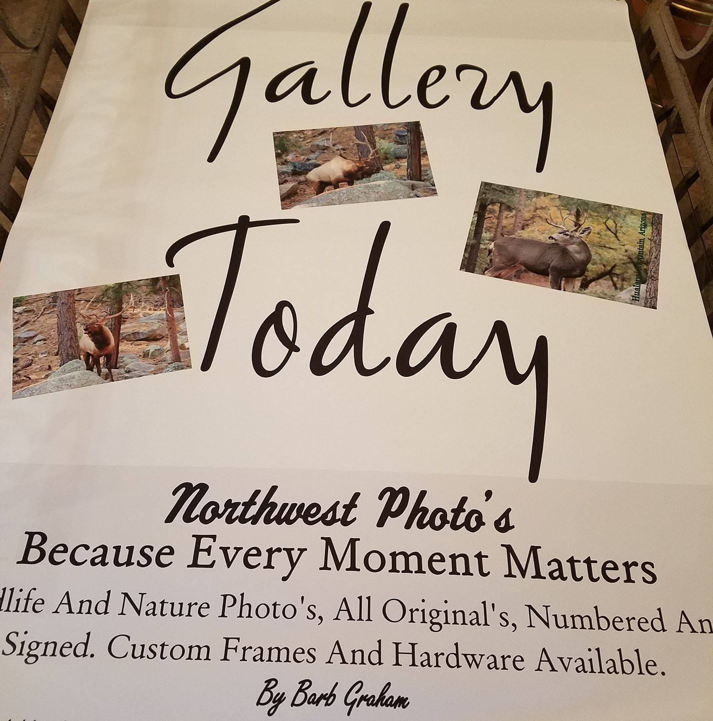 Animal Picture Store logo