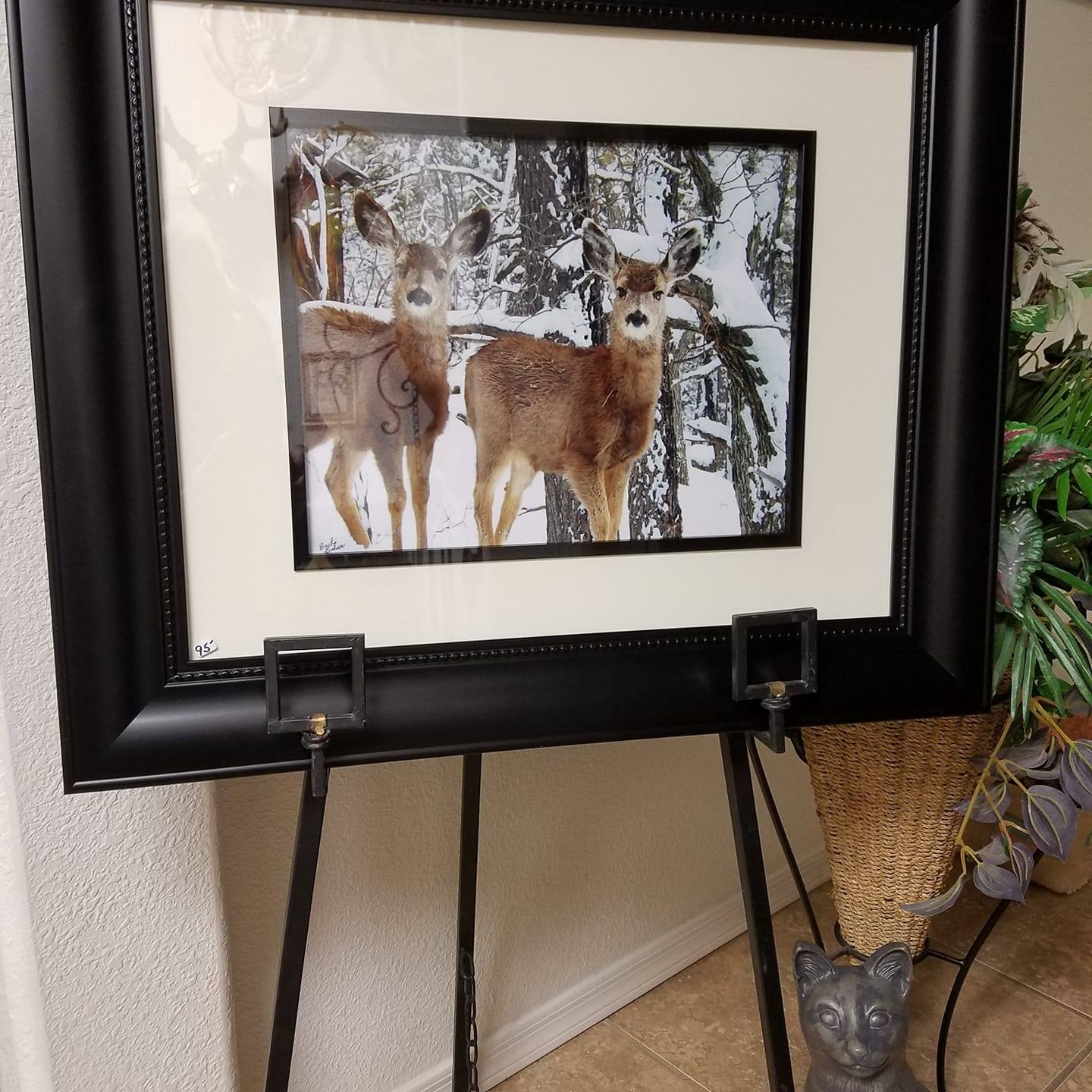 Animal Picture Store logo